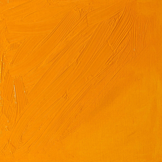 Winsor & Newton Artist's Oil